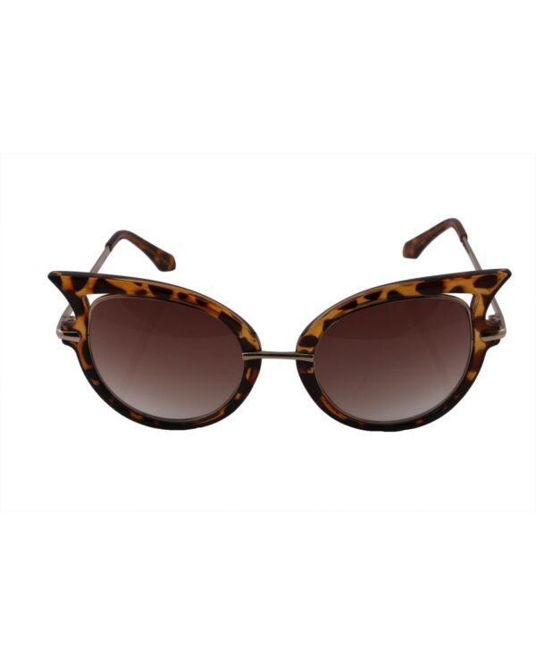 catseyehavana browngradient-3