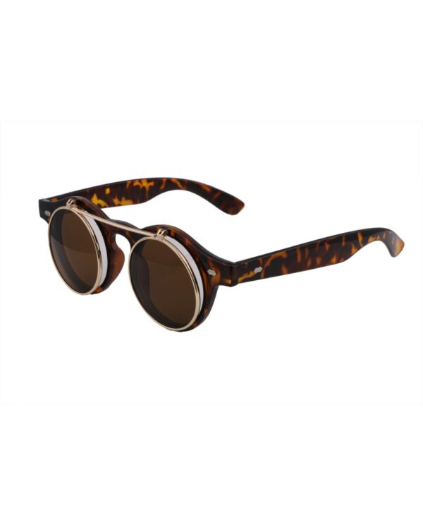 eyeframecum sunglassesgold havana-1