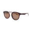hornedsunglassesbrownhavana-1