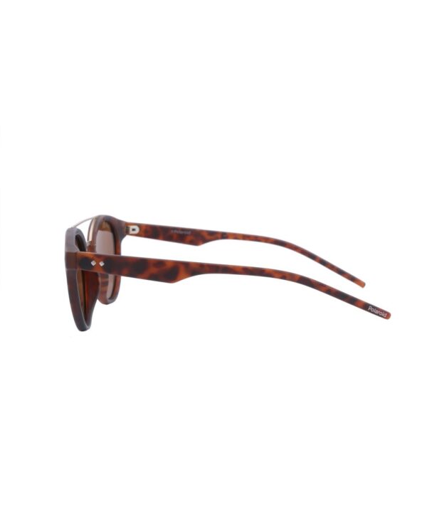 hornedsunglassesbrownhavana-2