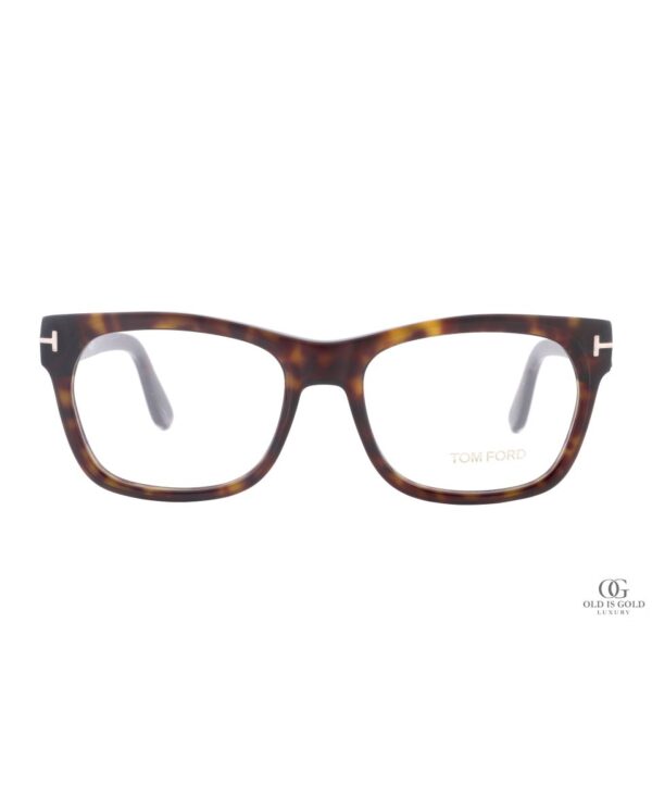 squarehorneddarkhavanatortoise-3